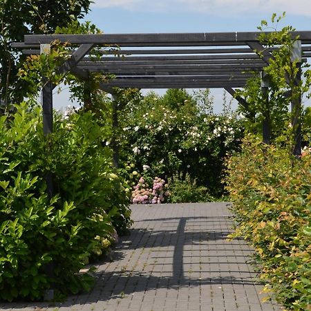 B&B “De Boerlarij” Ruinerwold Eksteriør bilde